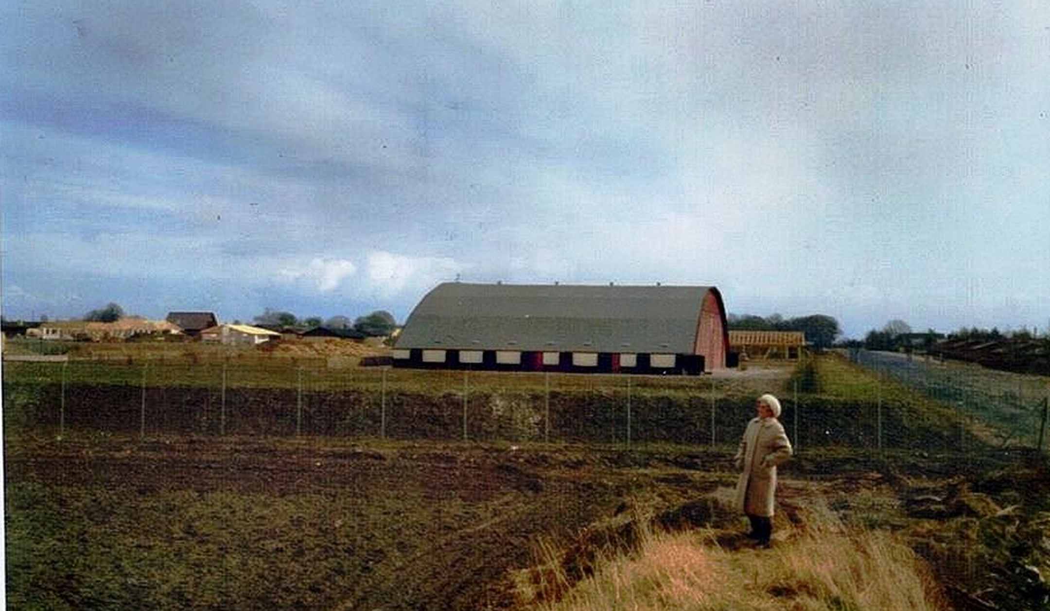 Dines Bogø
